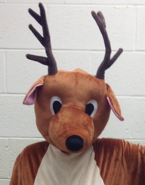 NLS Buck Mascot